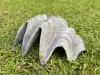 Artikelbild 4 des Artikels “Marina - Muschel,  40 cm L | Steinguss “